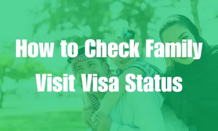 How to Check Family Visit Visa Status in Saudi Arabia