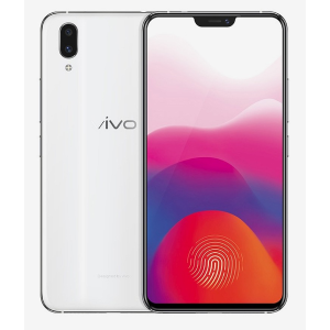 Vivo X21